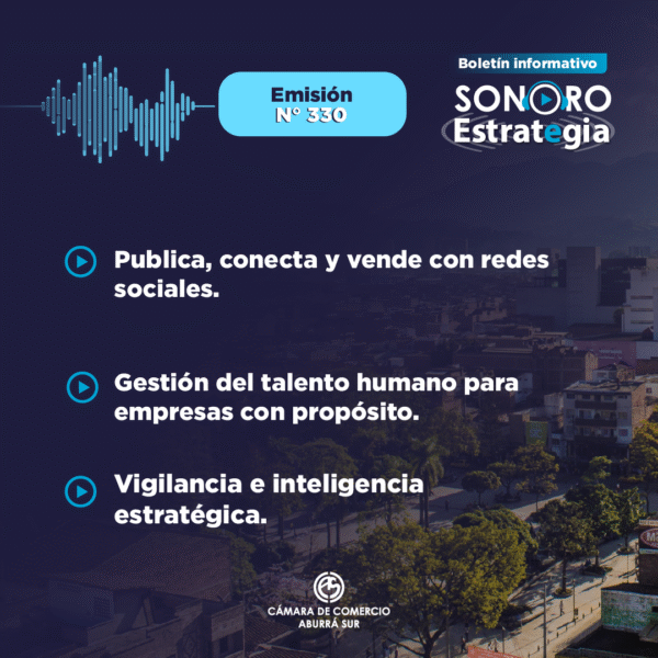 E CARD SONORO 330