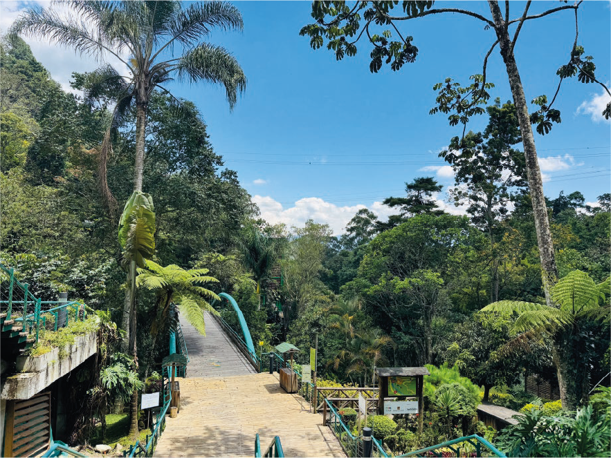 Parque Ecoturístico El Salado, Envigado
