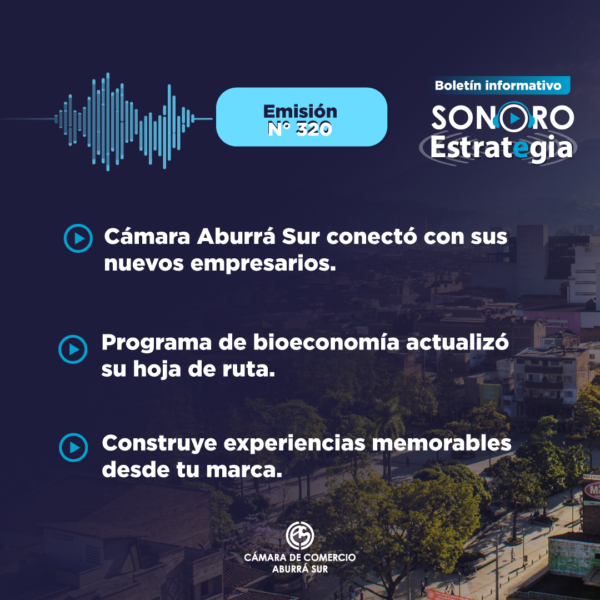 PIEZAS SONORO 315_E CARD SONORO 320