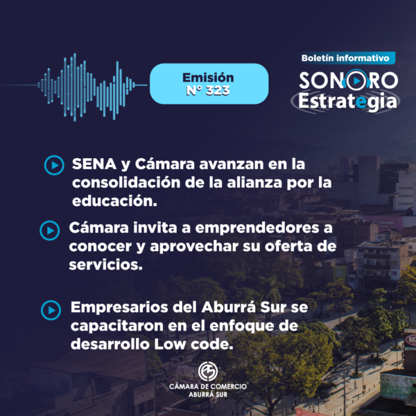 PIEZAS SONORO 323_E CARD SONORO 321